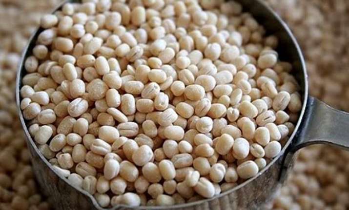 government to import 5 000 tonnes of urad to contain prices