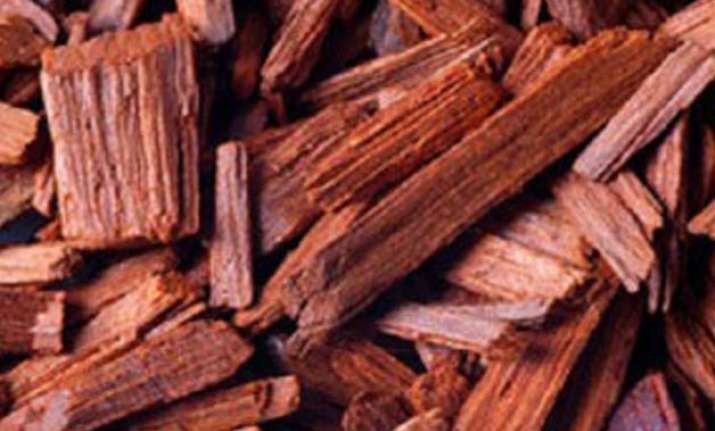 third phase of red sanders auction may fetch over rs 800