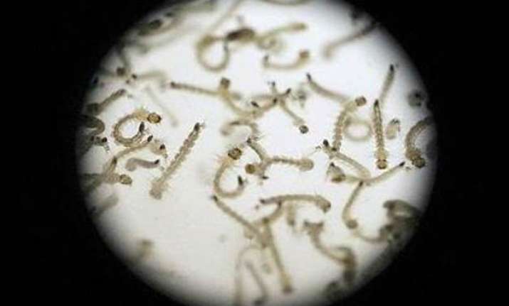 world bank pledges 150 mn for fight against zika