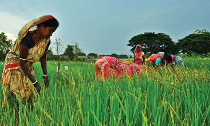 economic survey calls for big changes in agri sector bats