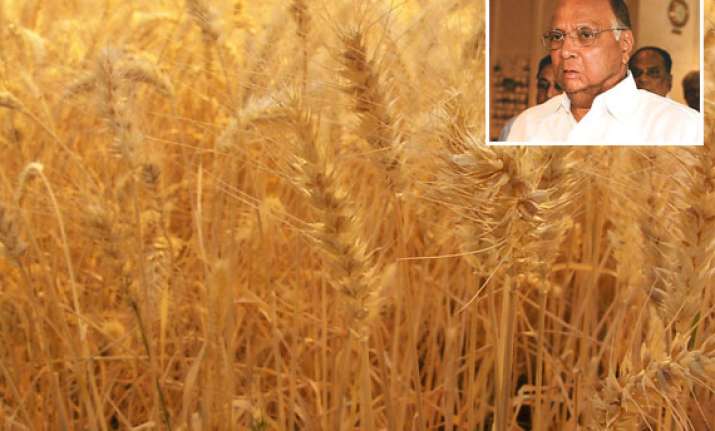 india may produce record over 86 mn tonnes of wheat sharad