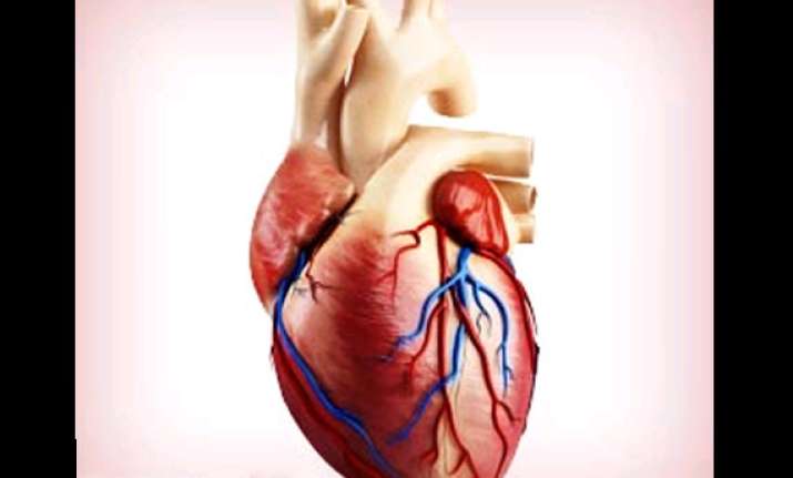 living heart tissue grown