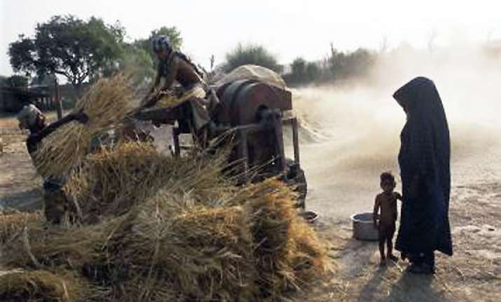 record 250 mt foodgrain output this year