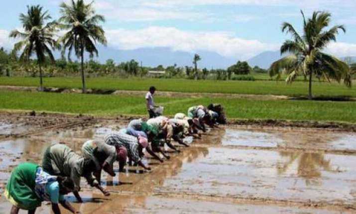 retail inflation for farm rural workers eases in sept