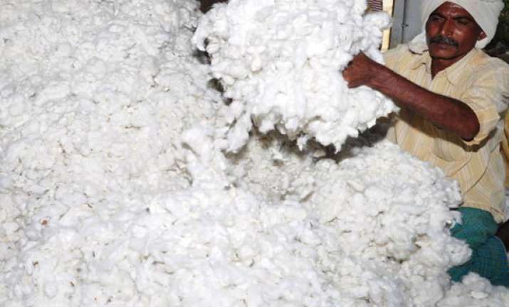 roll back on cotton export ban govt. issues notification