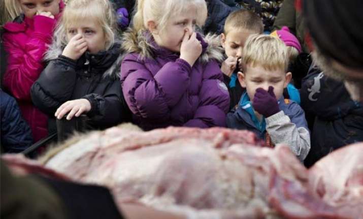 danish zoo slammed for dissecting lion in front of kids