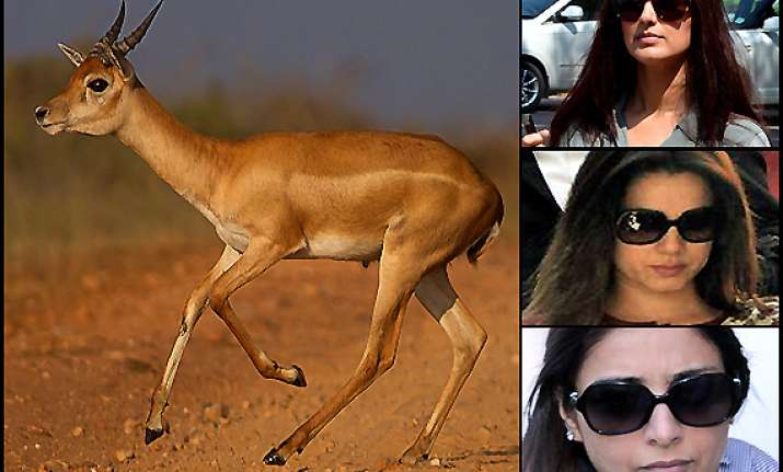 blackbuck case sonali bendre tabu and neelam to appear in