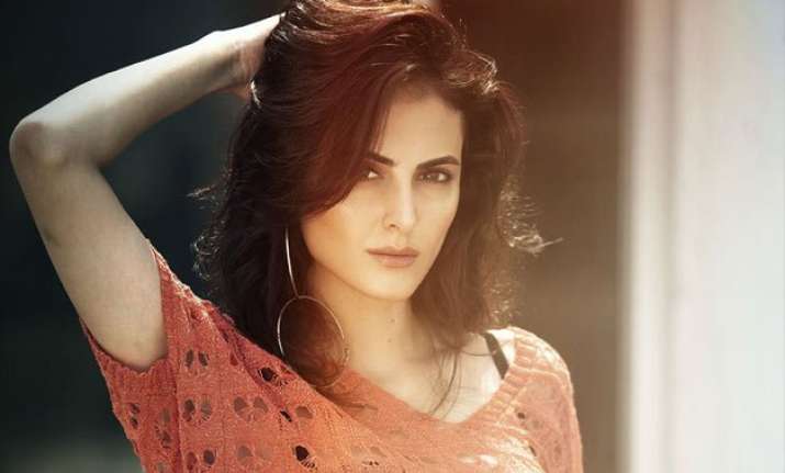 mandana karimi waiting to enter bollywood formally