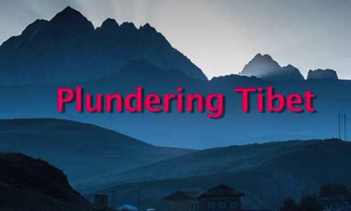 30 movies to be screened at free spirit film festival