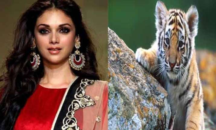 aditi rao is saving tigers on birthday