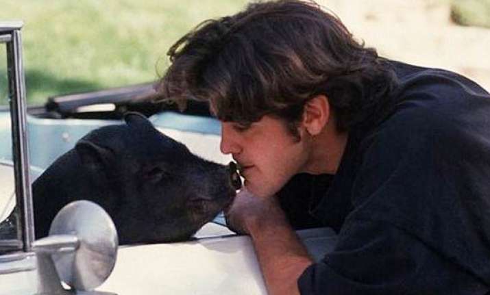 george clooney s pet pig was his baby ex girlfriend