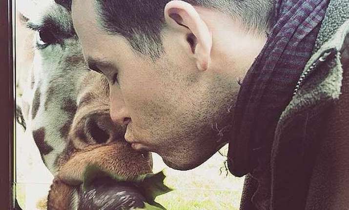 ryan reynolds kisses a giraffe