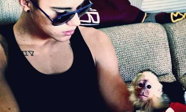 justin bieber pays 10 000 bill for pet monkey