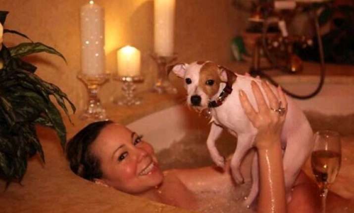 mariah carey spends 28 000 pounds per year on dog grooming