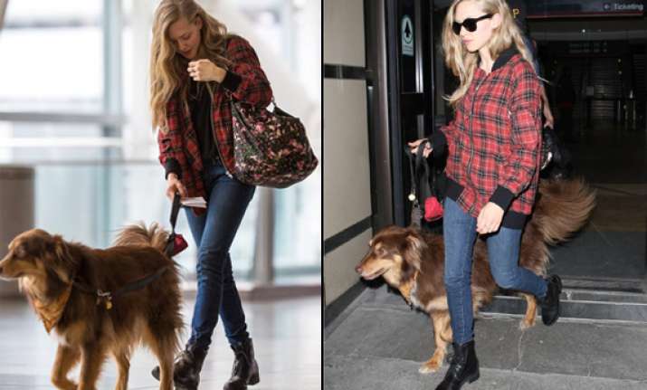 shocking amanda seyfried takes dog on flights