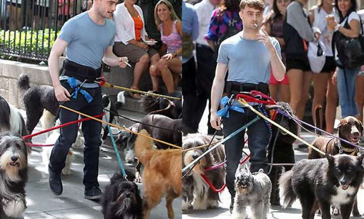 daniel radcliffe s hands free dog walk