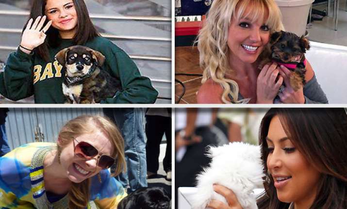 pets that celebs love to own