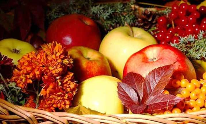 berries apples can help you lose weight