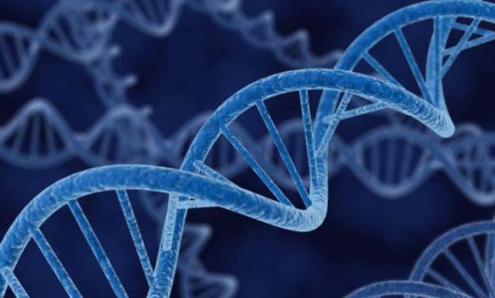 decoded what silences x chromosome in girls