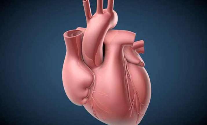 micropacemaker to treat foetus with heart block