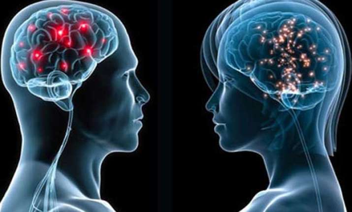 male female brains operate differently study