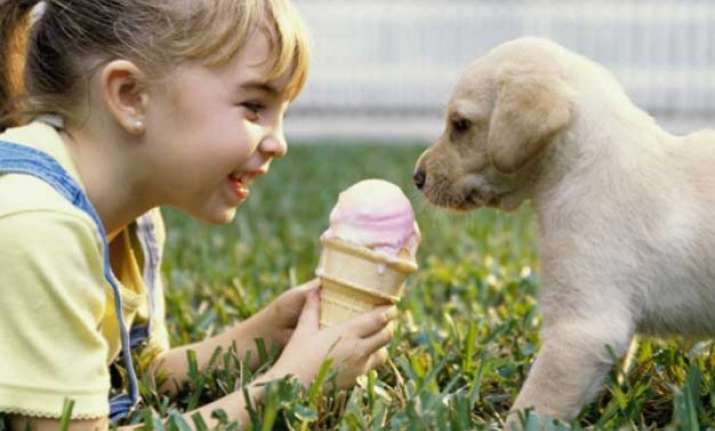 summer tips know how to keep your beloved pets cool