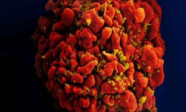 anti hiv antibody shows promise in first human trial