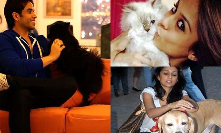 tusshar kapoor sana saeed mahi gill bollywood celebs and