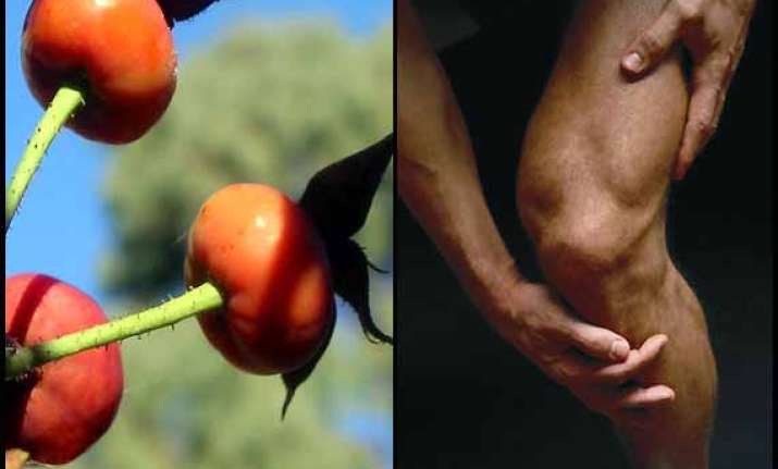 drug free compound can ease arthritis pain