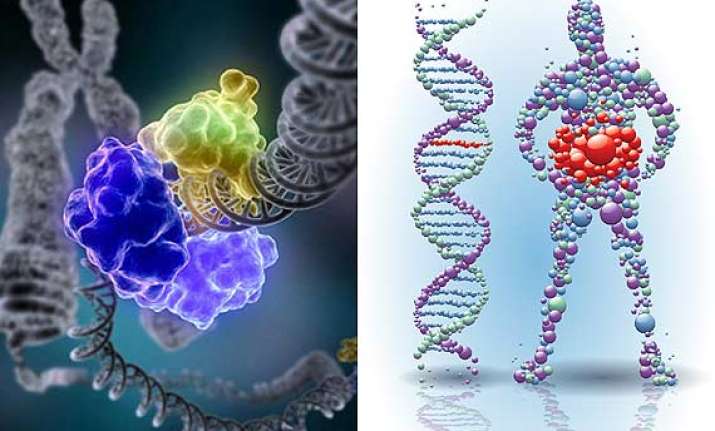 metabolism is linked with gene regulation reveals a study