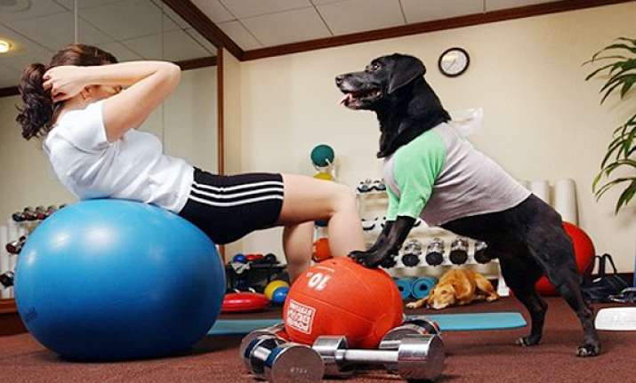 need a partner for workout try dogs see pics