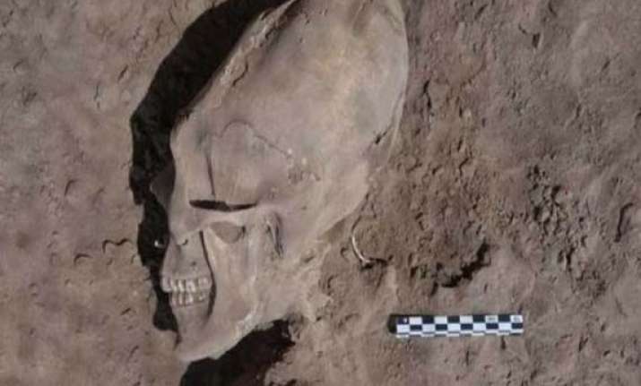 alien like skulls found at 1 000 year old cemetery in mexico