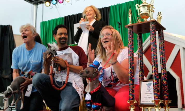 contest held for world s ugliest dog in california