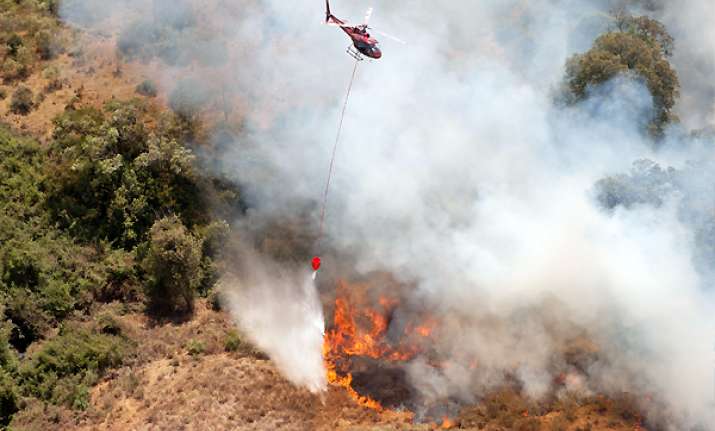 elephants flee as fire burns on mount kenya slopes