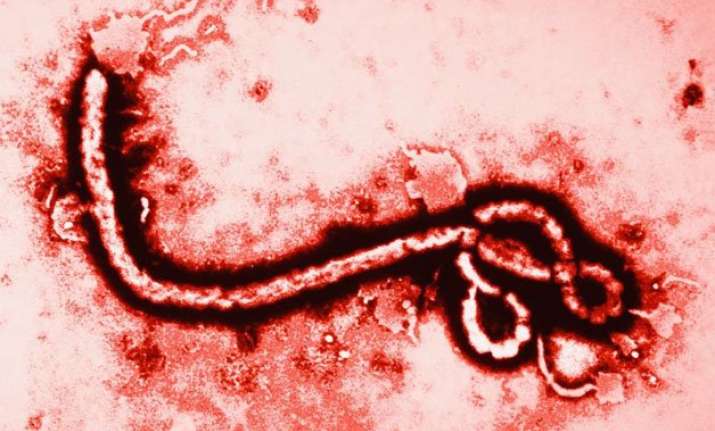 west africa to lose 3.6 bn annually owing to ebola un