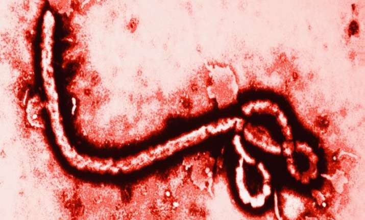 ebola more deadly for young children study