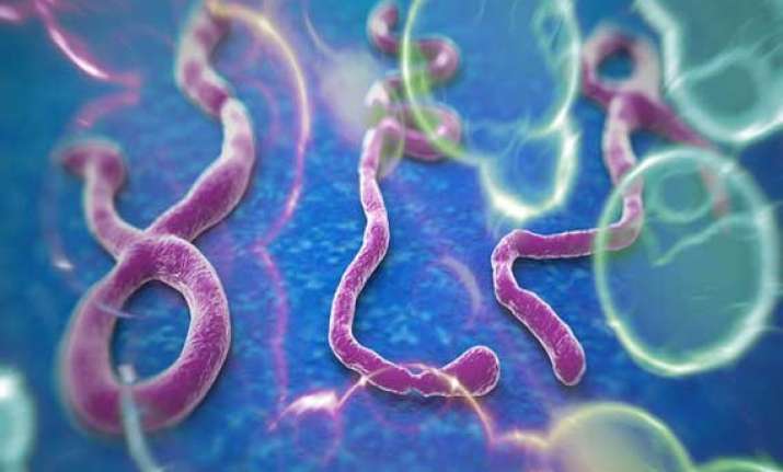 how the ebola virus got its name