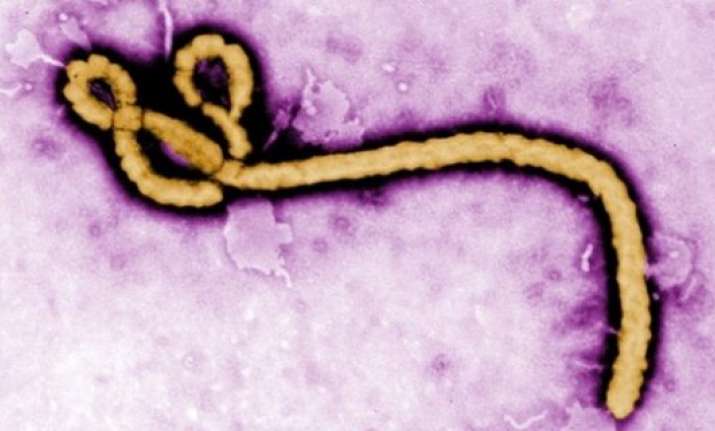 china france to join hands to combat ebola
