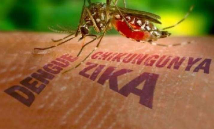 world facing zika virus threat warns who india readies