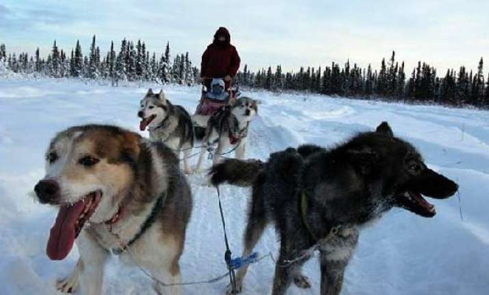 healthy dose of adventure can treat children with cancer