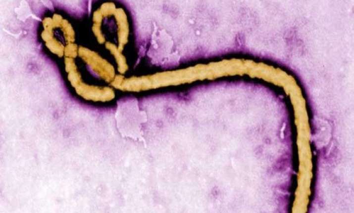 ebola cases exceed 10 000 who