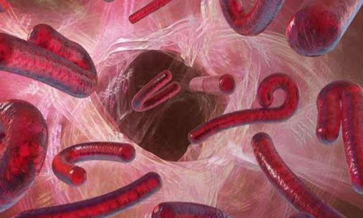 new ebola vaccine found safe in early human trials