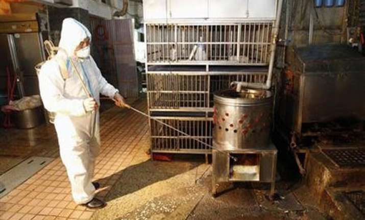 latest bird flu strain death rate reaches 277