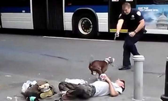 nypd officer shoots a charging pit bull in broad daylight