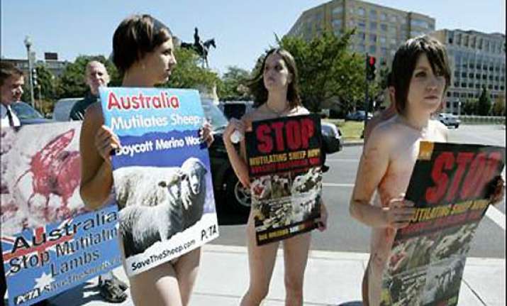 peta to launch porn website to highlight animals plight