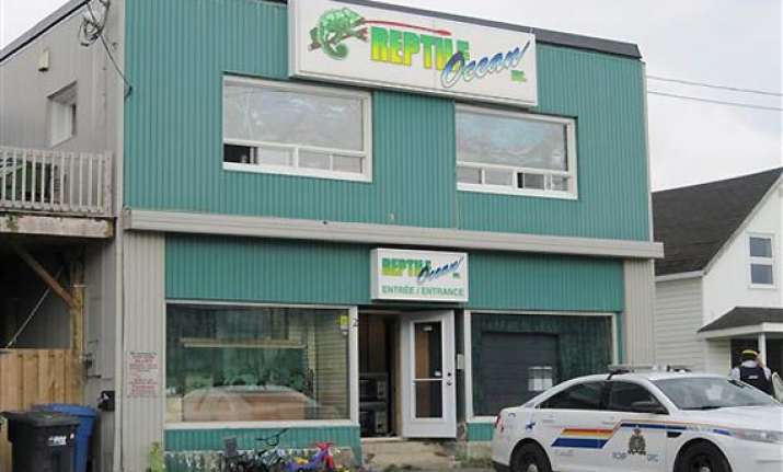 python escapes from pet store strangles two boys to death