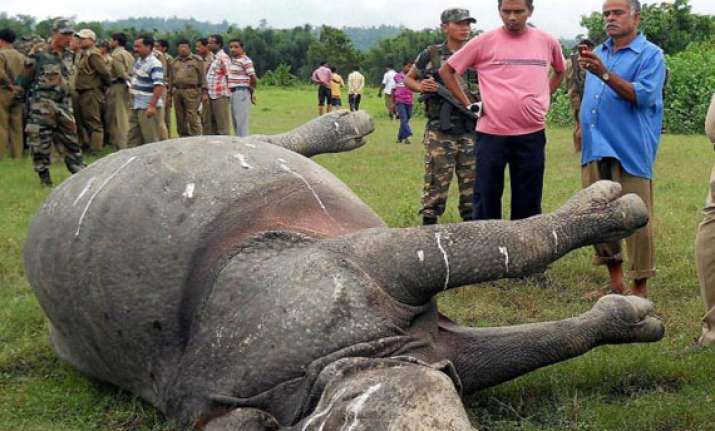 record elephant rhino poaching in 2011 wwf