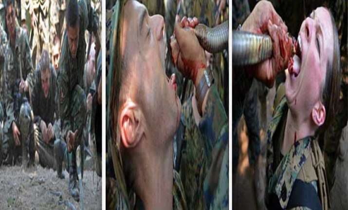 shocking pics us marines being trained to drink blood of