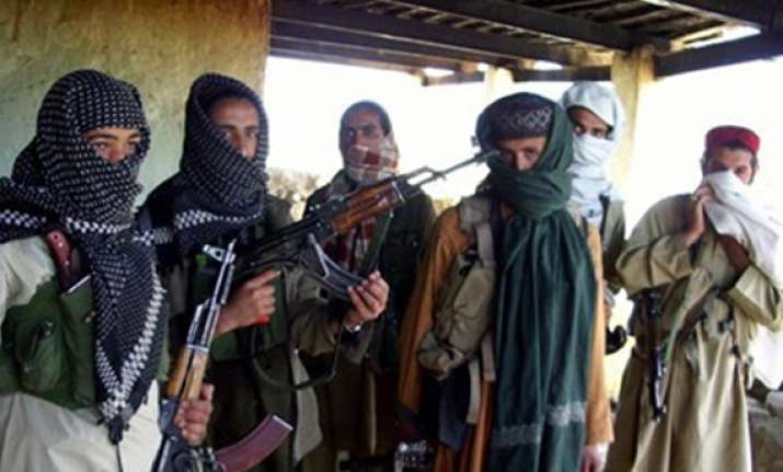 talk of peace stirs up qaida taliban tensions