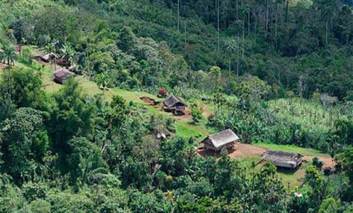 28 dead in papua new guinea plane crash report